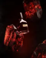 Orto Parisi Terroni - Image 2